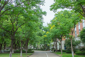 北京市博文學校