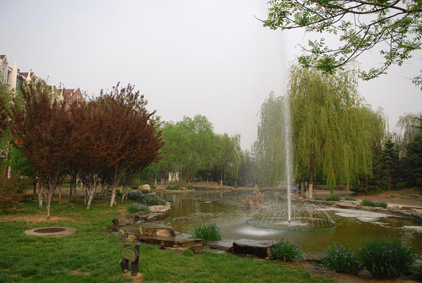 20097710562577.jpg