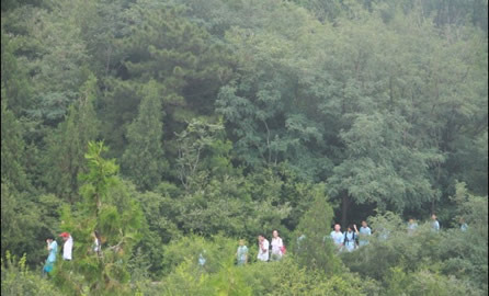 ĺ¸昷ðUI.jpg