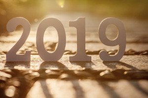 2019о＾ӣЩÿԺУx?
