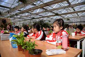 顰ǾWőnyвČWУɹeСࡱf