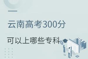 ϸ߿300ֿЩƣ