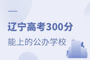 |߿300ʲôkW(xu)У