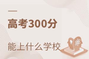 ߿300ʲôÌWУ