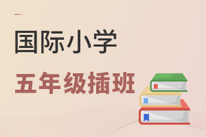 HСW꼉Ĳ᣿