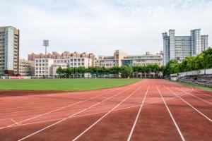 2025年四川外國語大學成都學院有單招嗎？