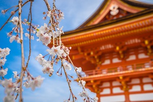 zDW_501268371_ձˮ´ѻI(y)ã.jpg