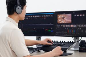 2022݌I(y)l(f)չҎ(gu)