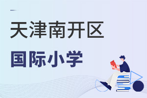 天津南開區(qū)國際小學(xué)