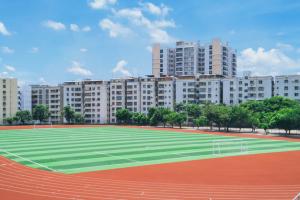 大連工業大學藝術與信息工程學院應用本科招生章程是什么？