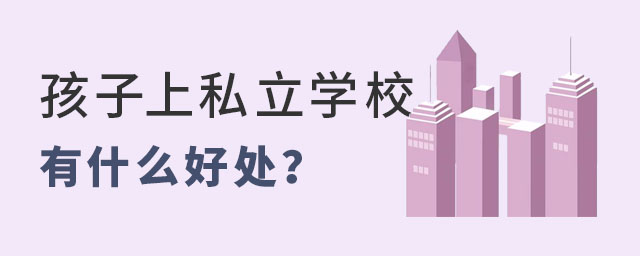 ˽WУʲô̎