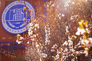 ¸WZWУ319ա26ek_ջӣsoAs!