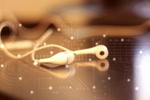 ɽ|в֌I(y)ĴW(xu)Щ