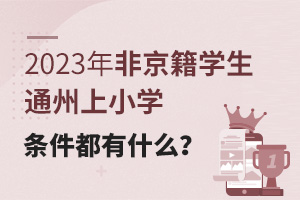 2023ǾWͨСWlʲô