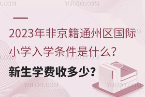 2023Ǿͨ݅^HСWWlʲôWMն٣
