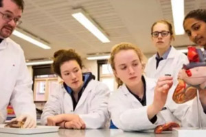 北京市海淀區(qū)崛起實(shí)驗(yàn)學(xué)校師資組成有什么特點(diǎn)?