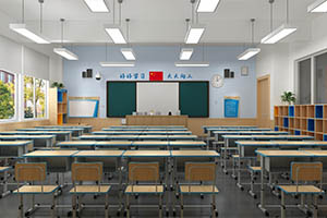 北京市新府學外國語學校(國內班)是公立還是私立性質的學校？