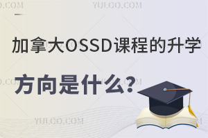 ôOSSDn̵Wʲô