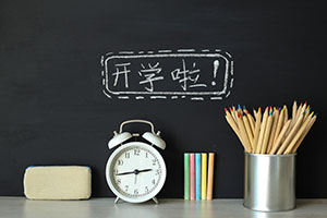 2024年北京市私立匯佳學(xué)校小學(xué)國(guó)內(nèi)班的招生門(mén)檻都有哪些？