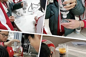 мӌW(xu)УSTEMṇˮĿƌW(xu)֮