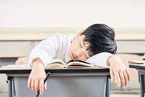 北京東方紅學校小、初、高課程設置一覽！附招生章程