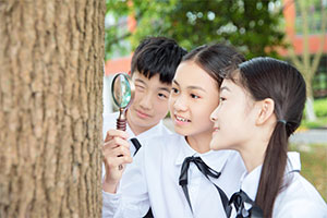 北京市新英才學校(國內班)師資怎么樣？教學水平好不好
