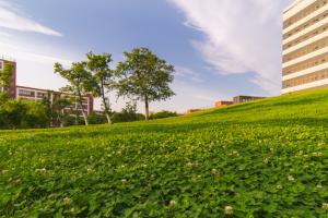 Ӱҕ݌I͑򄡱݌Ią^e