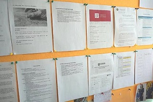 2024ՈȫŰحꖄPϲ@ٷУȡOffer