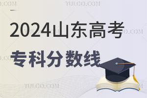 2024ɽ|߿Ʒ֔Ƕ٣2020-2024֔