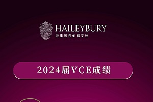 ϲ | 2024HWУVCEɿلѿ