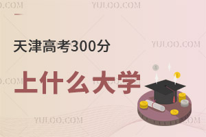 2024߿300ʲôӵĴW