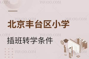 2024＾S_^СWDWlһ[DWrg/M