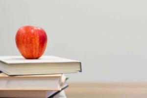 2025年北京海淀區尚麗外國語學校小學招生簡章發布！含師資力量、課程設置等