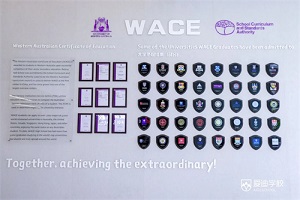 WACE߿ | w͇HLºףԸ۵όWWACE߿Дث@ѿ