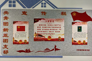 北京市朝陽區新亞學校開展團課活動：共繪青春新篇章！
