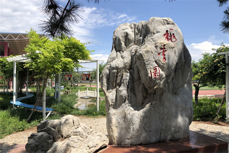北京市豐臺區新北賦學校2025年招生計劃發布了嗎？初中階段名額多不多？