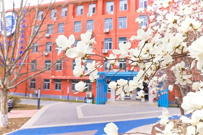 北京新府學外國語學校(國內班)高中用戶家長關注需求點整理，2025年擇校必讀