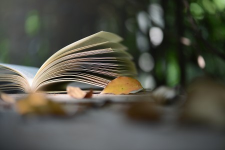 北京市朝陽區新亞學校3月份開放日預約中，國家督學&特級校長面對面！