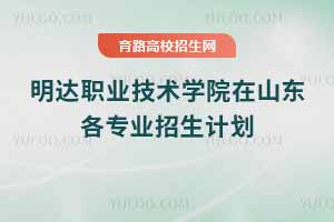 2025年明達(dá)職業(yè)技術(shù)學(xué)院在山東各專業(yè)招生計(jì)劃