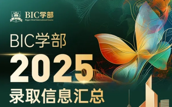 tBIC2025OSSDIȡɹR
