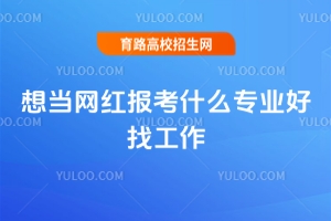 想當網紅報考什么專業好找工作？