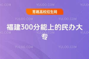 2025年福建300分能上的民辦大專有哪些？