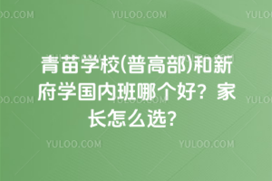 青苗學(xué)校(普高部)和新府學(xué)國內(nèi)班哪個好？家長怎么選？