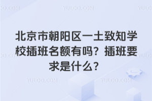 北京朝陽區一土致知學校插班名額有嗎？插班要求是什么？