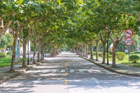 天津市新城高級中學高中學籍辦理條件盤點，無本市戶籍學生需注意！