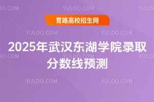 2025年武漢東湖學院錄取分數(shù)線預測