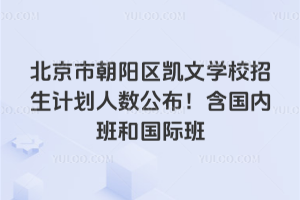 2025年北京市朝陽(yáng)區(qū)凱文學(xué)校招生計(jì)劃人數(shù)公布！含國(guó)內(nèi)班和國(guó)際班