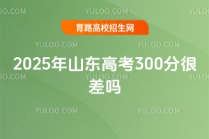 2025ɽ|߿300֣Ĳ᣿W;Ȼ