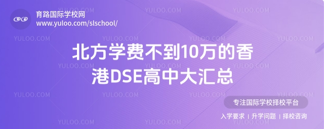 WM10fDSE
