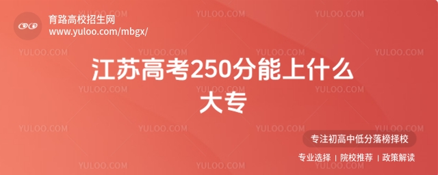 2025꽭K߿250ʲô󌣣